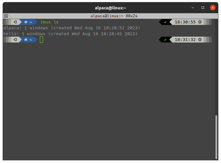 可以看見目前背景有兩個 tmux sessions：「alpaca」、「hello」