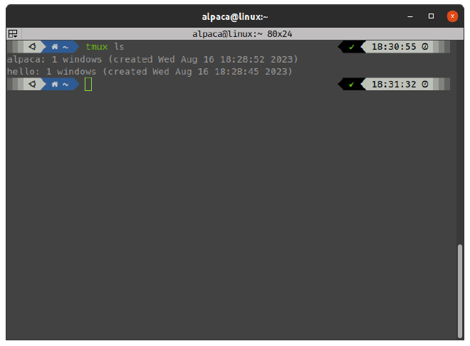 可以看見目前背景有兩個 tmux sessions：「alpaca」、「hello」